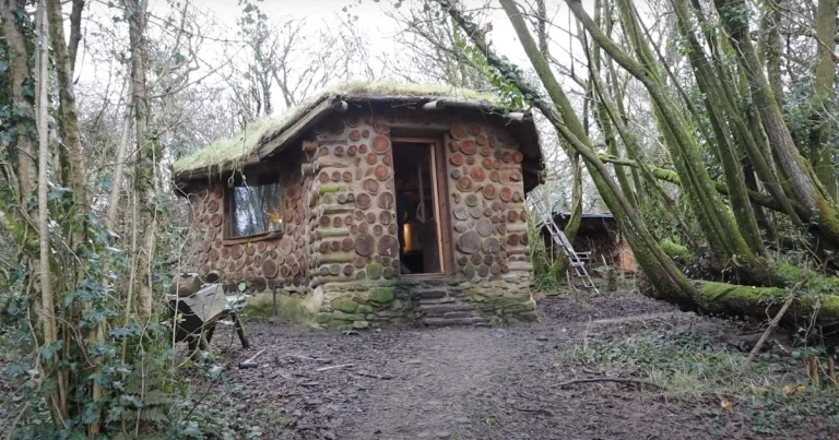 Man lets camera enter his tiny home in the woods