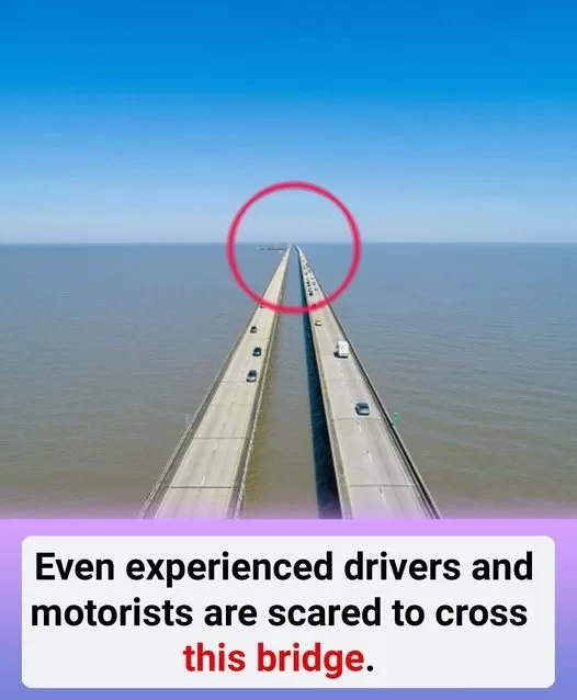 Even experienced drivers and motorists are scared to cross this bridge.