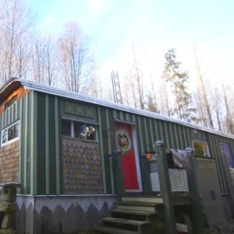 “Woman Creates Beautiful Tiny House”: Gathering Materials and Designing Her Own Dream Home