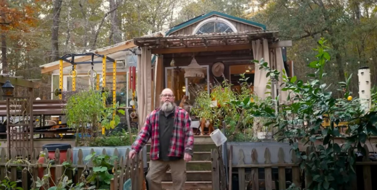 ” Sustainable Love Story”: A Couple’s $6,500 Investment Turns a Basic Shed into a Stunning Woodland Homestead