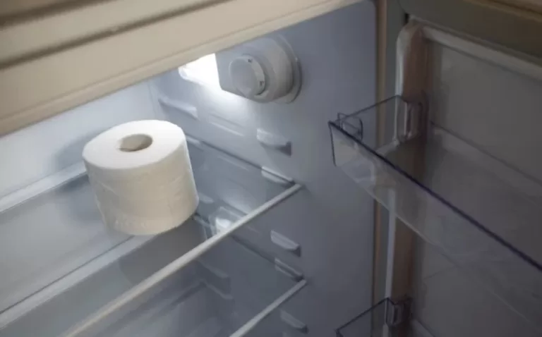 Why Is It Important To Store Toilet Paper In The Refrigerator? A Little-Known Secret