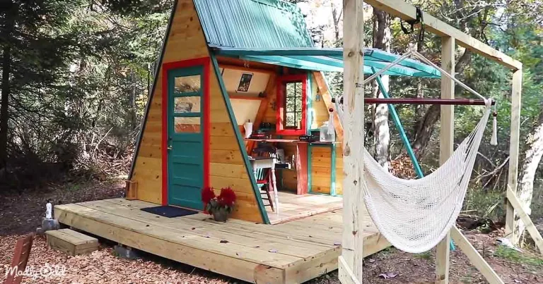 Woman builds off-grid tiny home cabin of her dreams