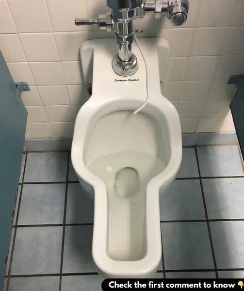 Unique Toilet Design at Huntsville Space Center: Exploring the Reason Behind the Women’s Urinal