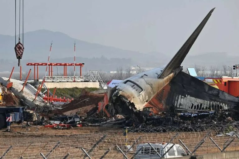 Bird Feathers and Blood Stains Found in Engines of South Korean Plane