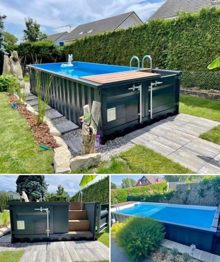 From Rust to Relaxation – How One Man Turned an Old Shipping Container into a Luxury Pool!