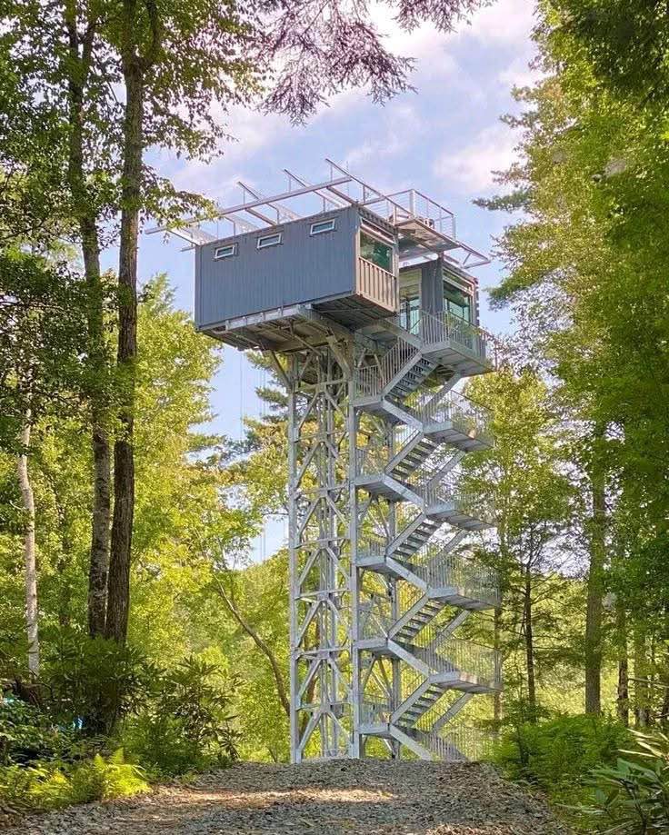 A Home Above the Trees: The Ultimate Escape or a Daredevil’s Dream?