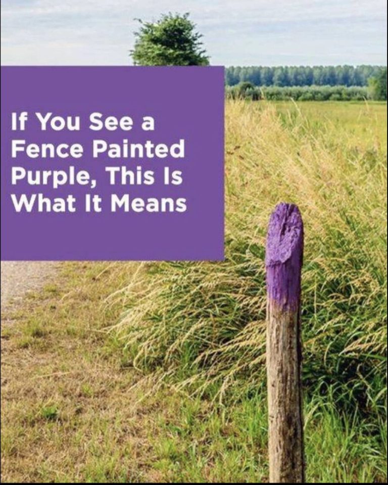 If You See A Fence Painted Purple, You Better Know What It Means – Knowing This Can Save Your Life