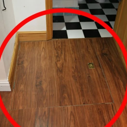 The Chilling Secret Hidden Beneath Inexpensive Apartment