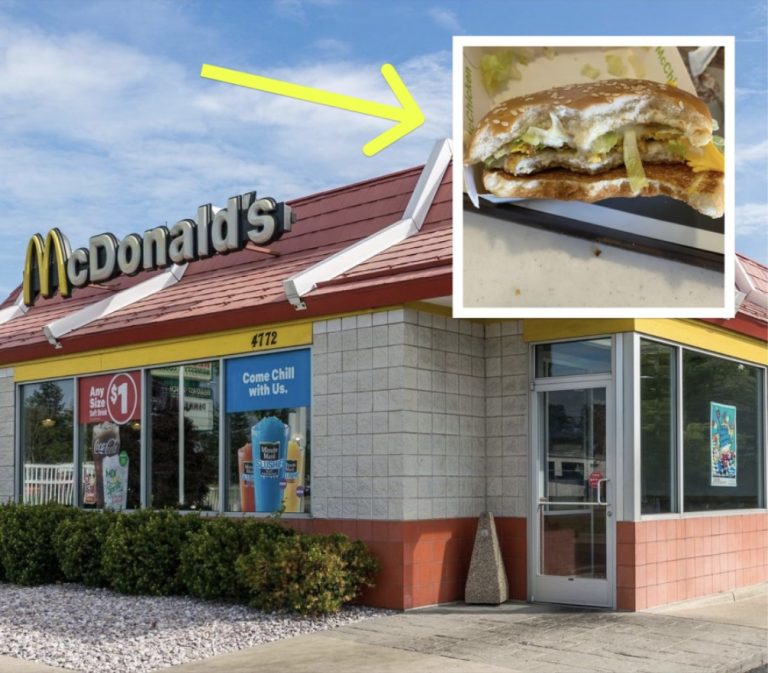 Family Pulls Out Camera For Proof Of What McDonald’s Put On All Of Their Sandwiches