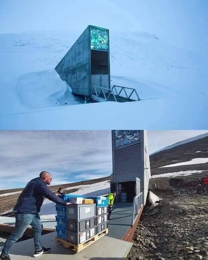 Svalbard Seed Vault: Humanity’s Backup in Case of Catastrophe