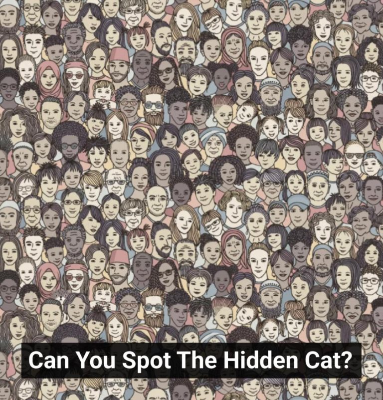 Only People With A Marksman’s Eyesight Can Spot The Hidden Cat In this Photo