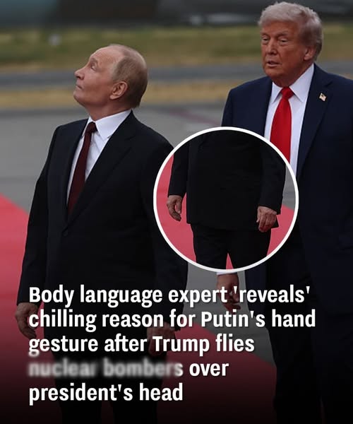 A body language expert’reveals’ the horrifying explanation for Putin’s hand motion after Trump flies nuc:lear bo:mbe:rs over his head.