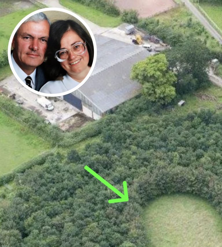 Husband Plants 6,000 Trees To Honor Deceased Wife, 15 Years Later Photos Reveal His True Motive