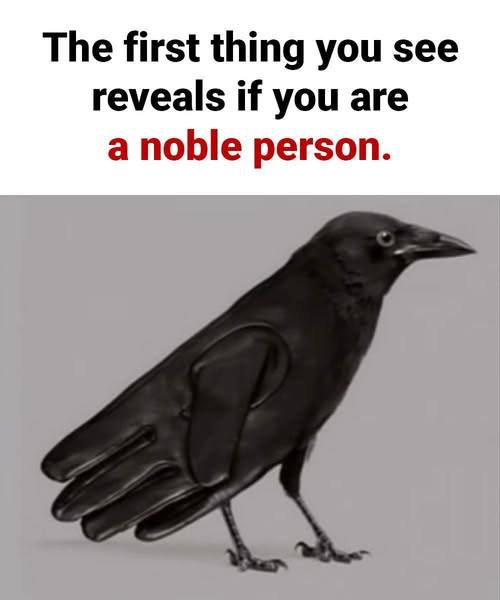 This Simple Optical Illusion May Reveal Whether You’re a Truly Noble Person