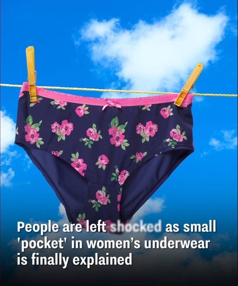 People are left sh0cked as small ‘pocket’ in women’s underwear is finally explained