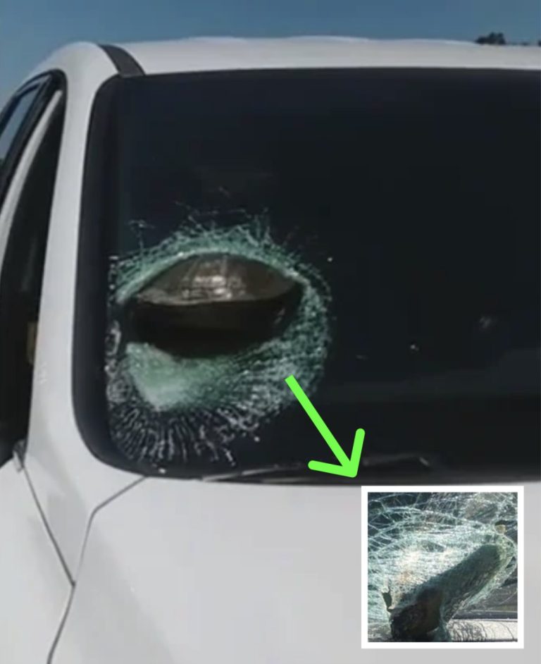 Woman Stunned After Realizing What Crashed Through Her Windshield