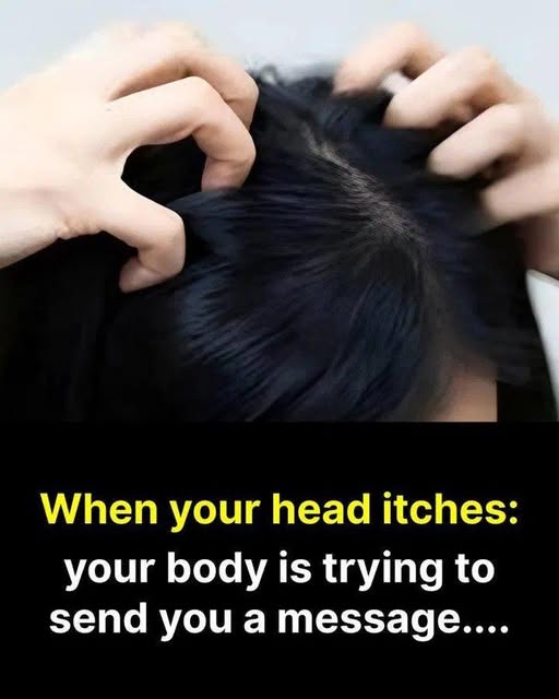 Itchy Scalp? Here Are the Most Common Causes