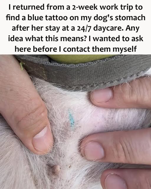 Didn’t know about this