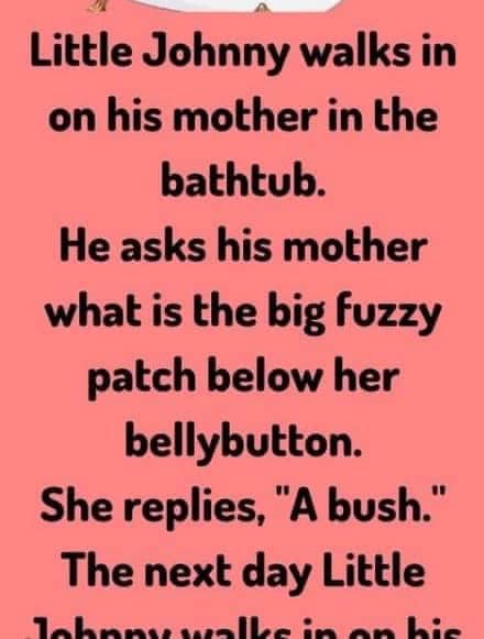 Little Johnny Walks in on his mother, read more below..