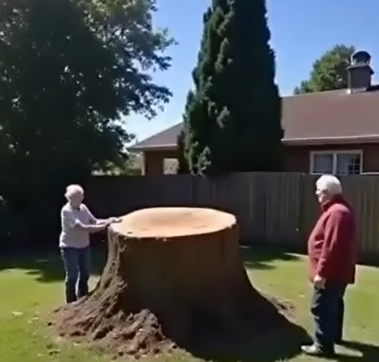 Have These Feuding Neighbors Gone Too Far