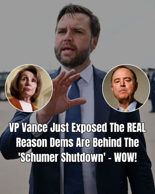 VP Vance Takes No Democrat Prisoners In Epic Roast Over Govt. Shutdown