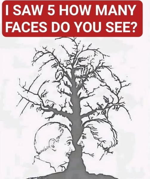 Is It Possible to Find Every Face Hidden by This Optical Illusion?
