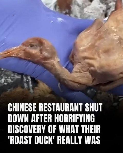 Authorities Close Chinese Restaurant After Disturbing Discovery In ‘Roast Duck’