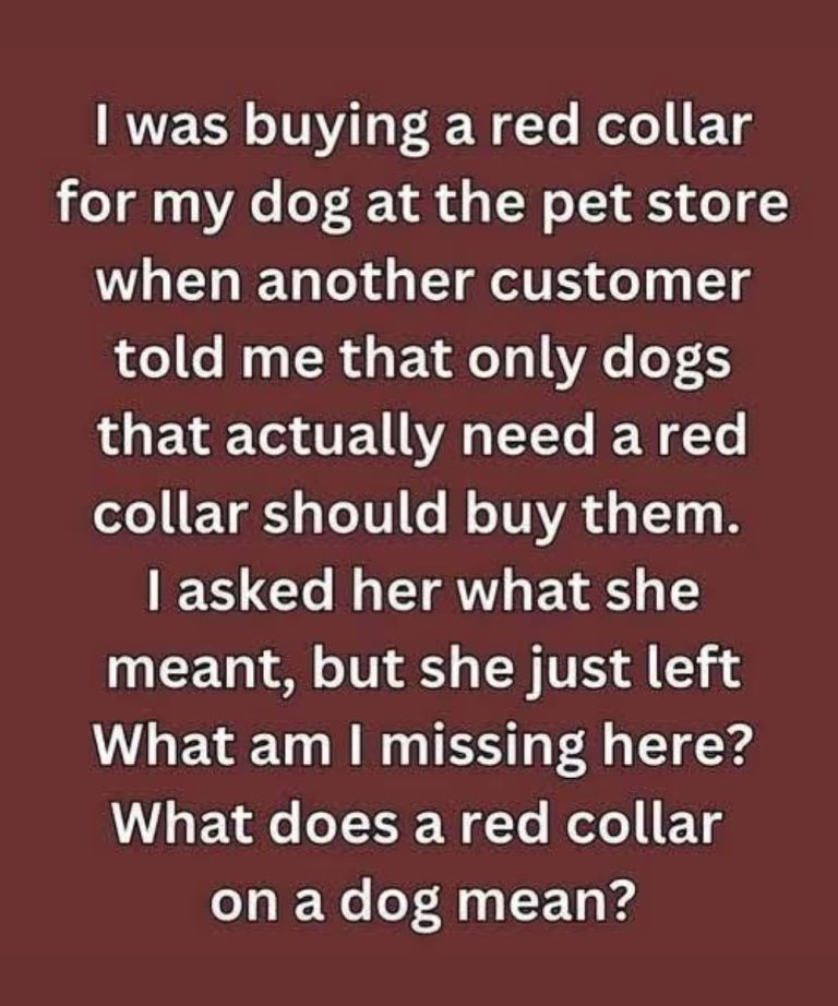 The Mystery Of The Red Collar And The Secret It Unveiled