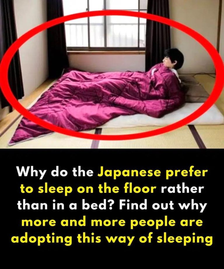 Why do Japanese people prefer to sleep on the floor?