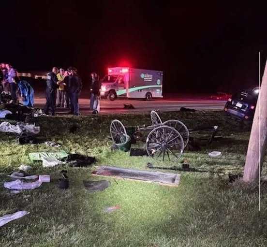 Jeep Smashes Buggy, Ejects Family of 9 Amish ~ Five children were…See more