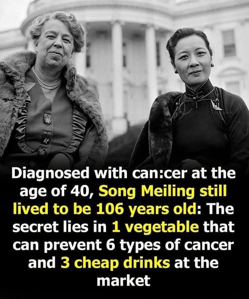 A Legacy of Health: Exploring Soong Mei-Ling’s Remarkable Longevity, Her Personal Battle Against Cancer, and the Enduring Impact of Her Lifestyle, Medical Access, and Resilience on Public Perception of Wellness, Aging, and Women’s Health in Modern Chinese and Global History