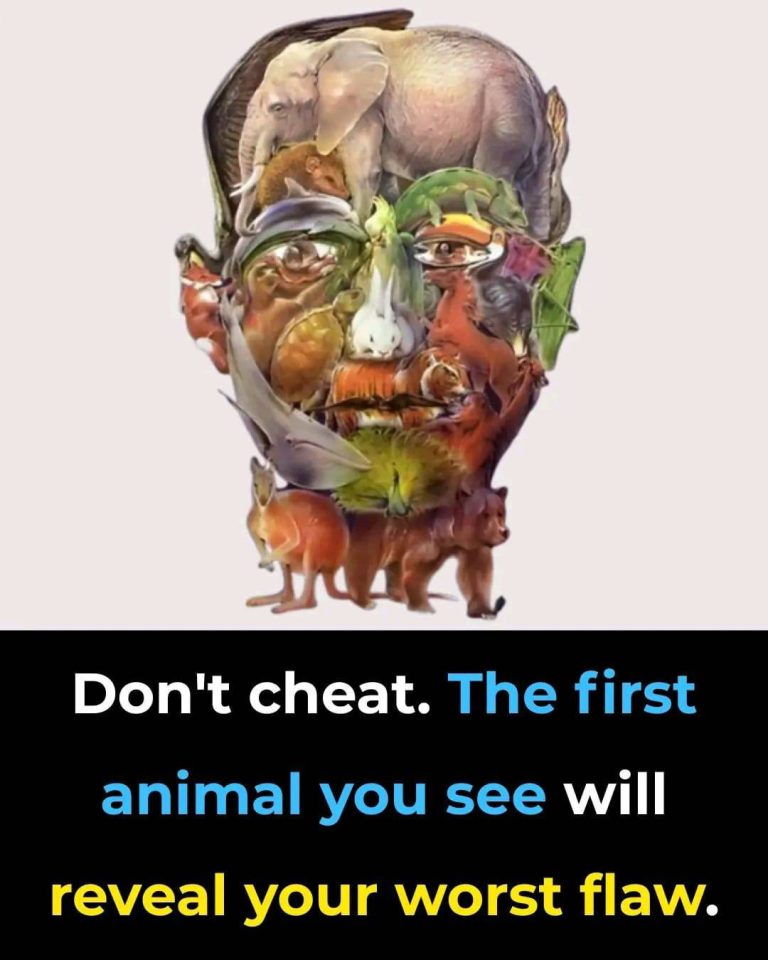 What You Notice First in an Image Says More About Your Focus Than Your Flaws