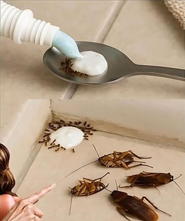 Say Farewell to Pests the Natural Way—No Chemicals Needed