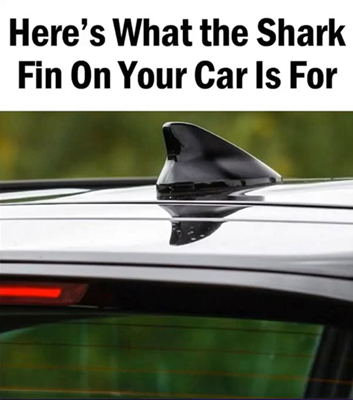 The Surprising Reason Your Car Has a Shark Fin Antenna New car models