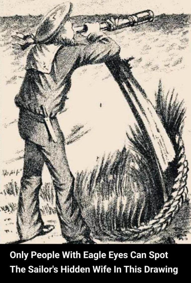 Only People With Eagle Eyes Can Spot The Sailor’s Hidden Wife In This Drawing
