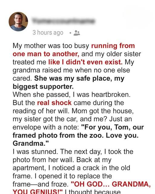 She Left Me a Simple Photo — But It Told a Story I Never Knew