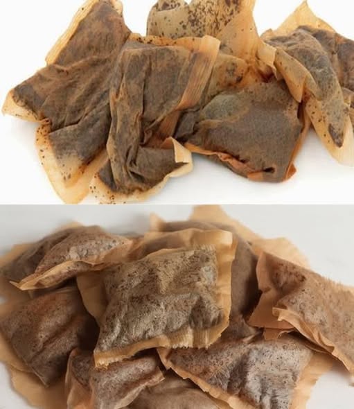 7 Household Tricks That Reveal Why Used Teabags Are Too Valuable to Throw Away
