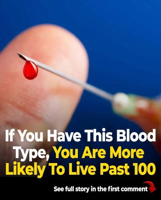 Studies Indicate That Individuals With This Blood Type Have a Higher Likelihood of Living to 100