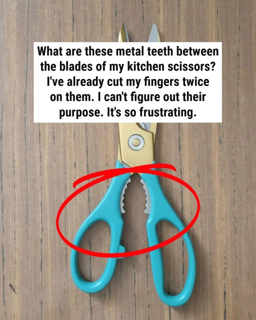 Why Do Kitchen Scissors Have That Strange Serrated Edge?