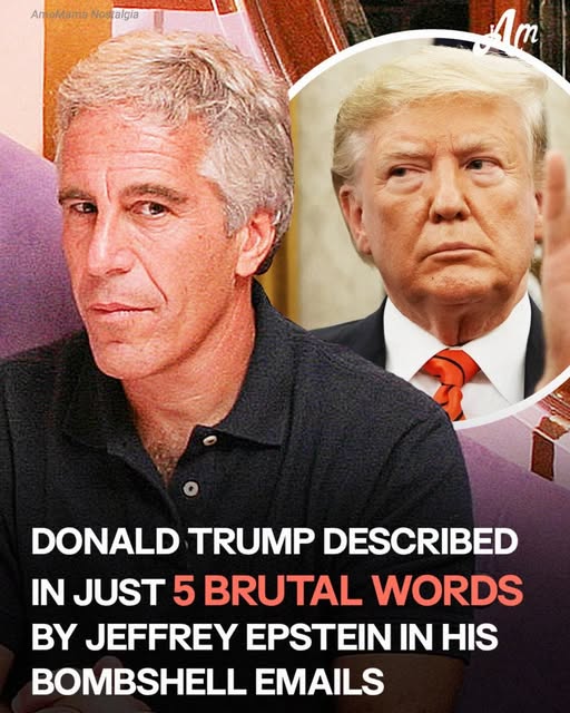 Newly Released Epstein Emails About Trump Draw a Strong Reaction from His Brother