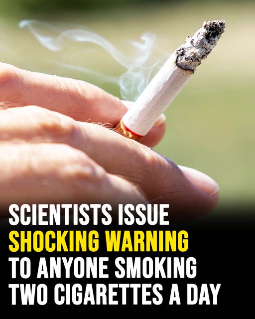 Scientists issue shocking health warning to anyone smoking two cigarettes a day