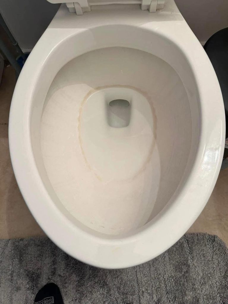 How To Remove Hard Water Stains From A Toilet Bowl With Just One Product