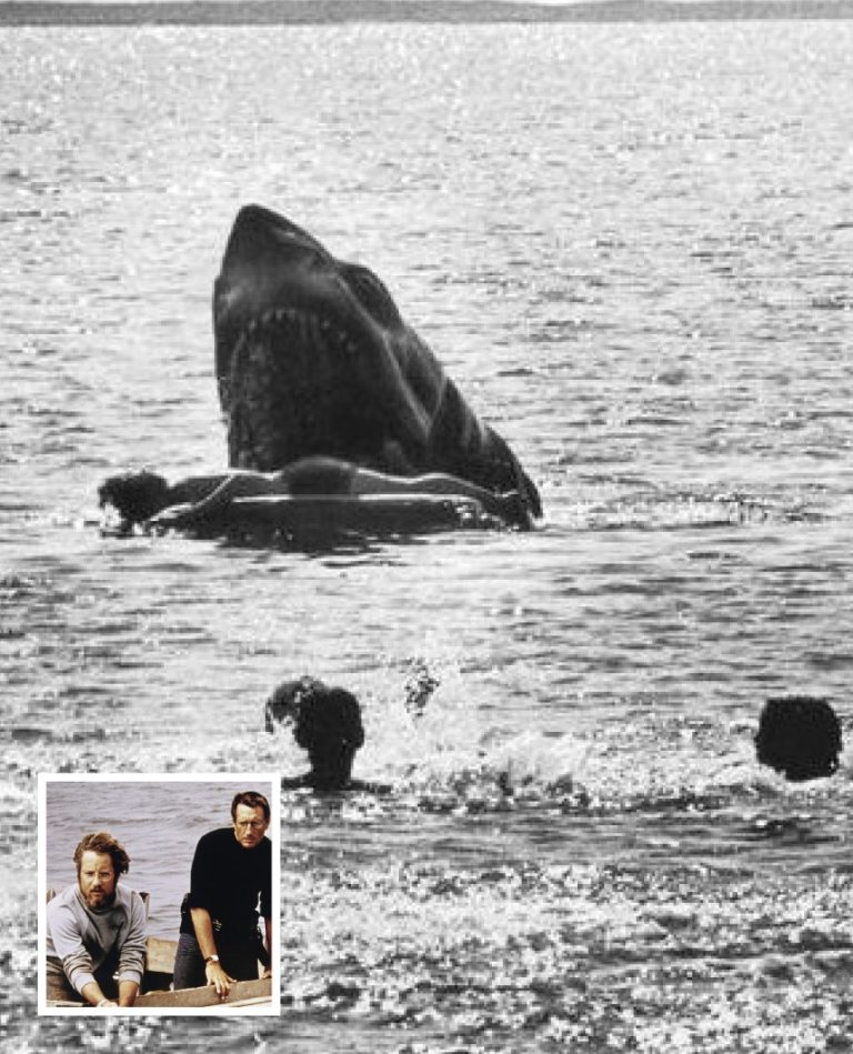 Truth Behind This Deleted Scene From ‘Jaws’ Turns Heads