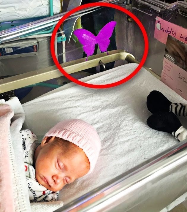 If You See a Purple Butterfly Sticker Near a Newborn, This Is What It Means