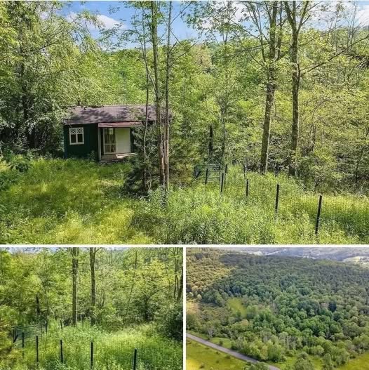 $19,000 No neighbors, no noise. Price cut: $6K…