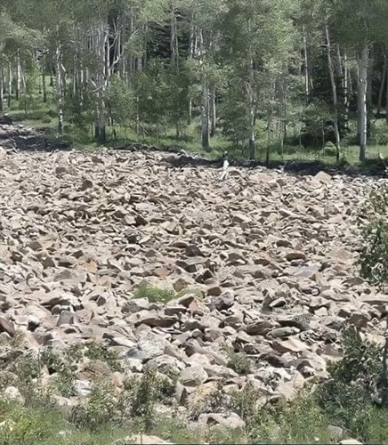 Can you find the hidden woman in this optical illusion?