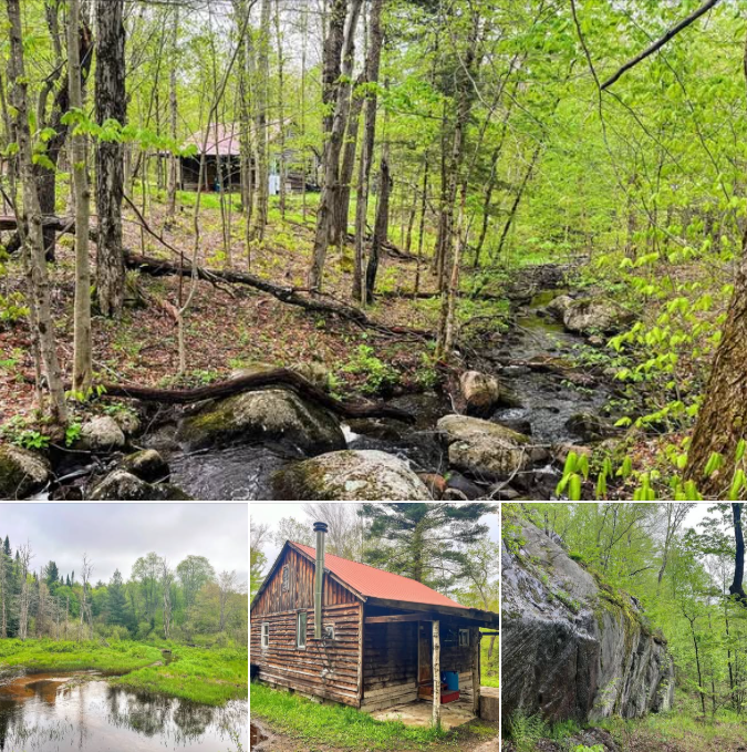 Cabin with 133.6 Acres