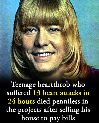 “Teen star’s rise and fall: Health struggles cast a shadow over final years”