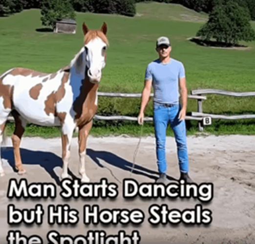 (Video) Man Breaks into Dance, But the Horse Steals Everyone’s Attention!