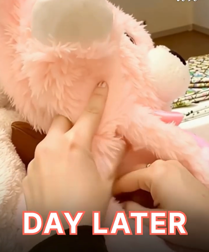 “My Grandson Asked What Was Inside His Toy — I Opened It and Our Lives Were Never the Same Again”